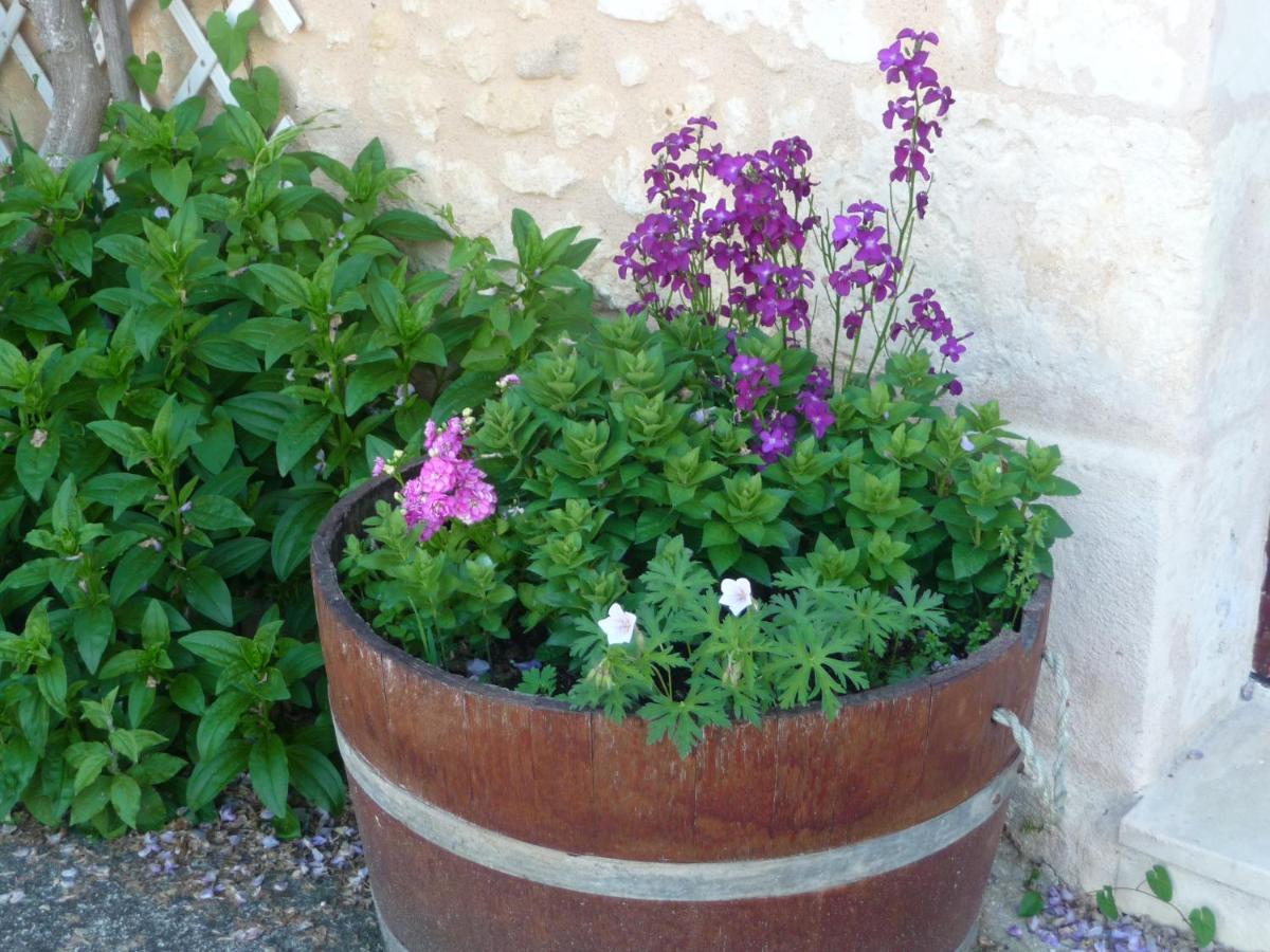 Les Tuileries Bed & Breakfast Ponteyraud Екстериор снимка